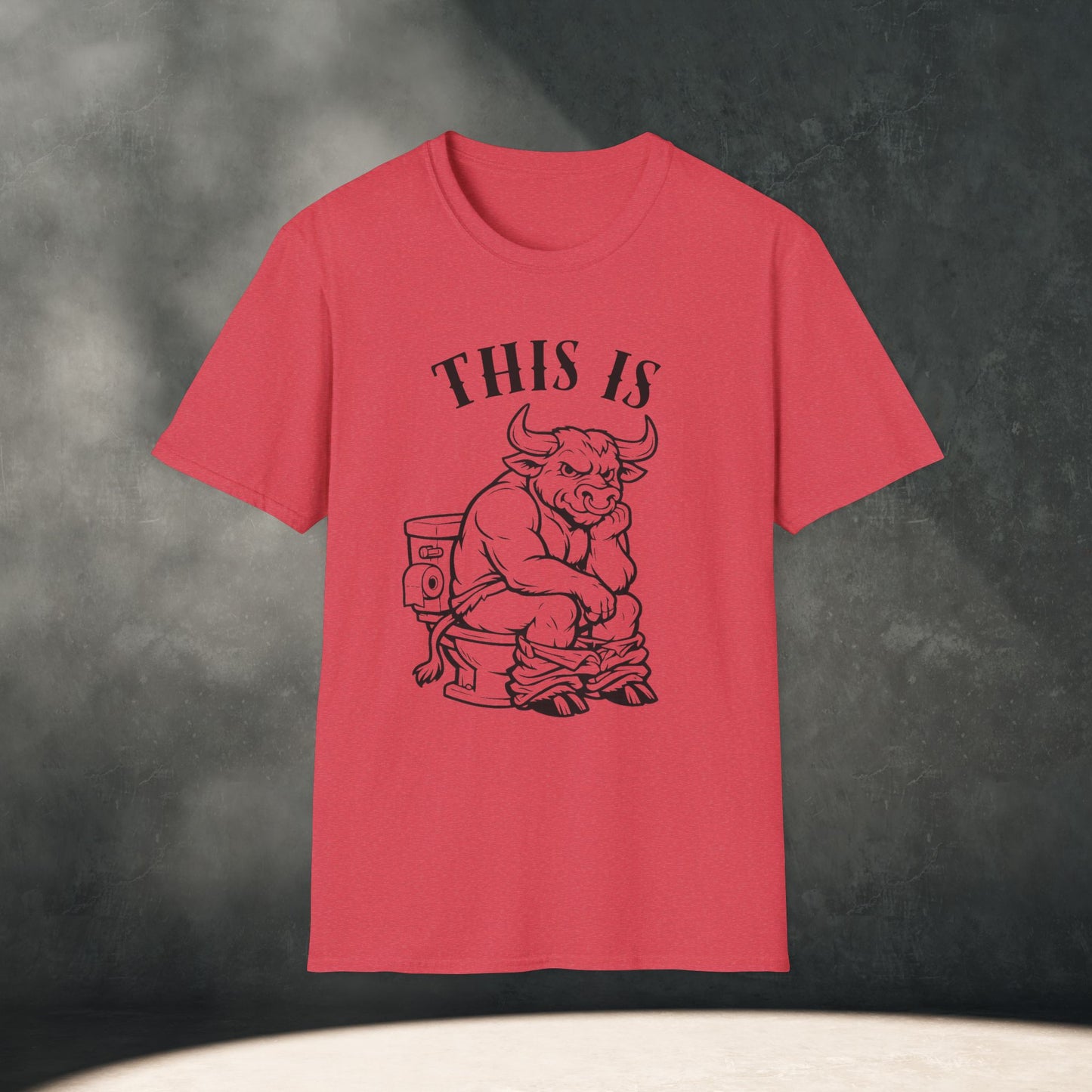 This is BS T-Shirt