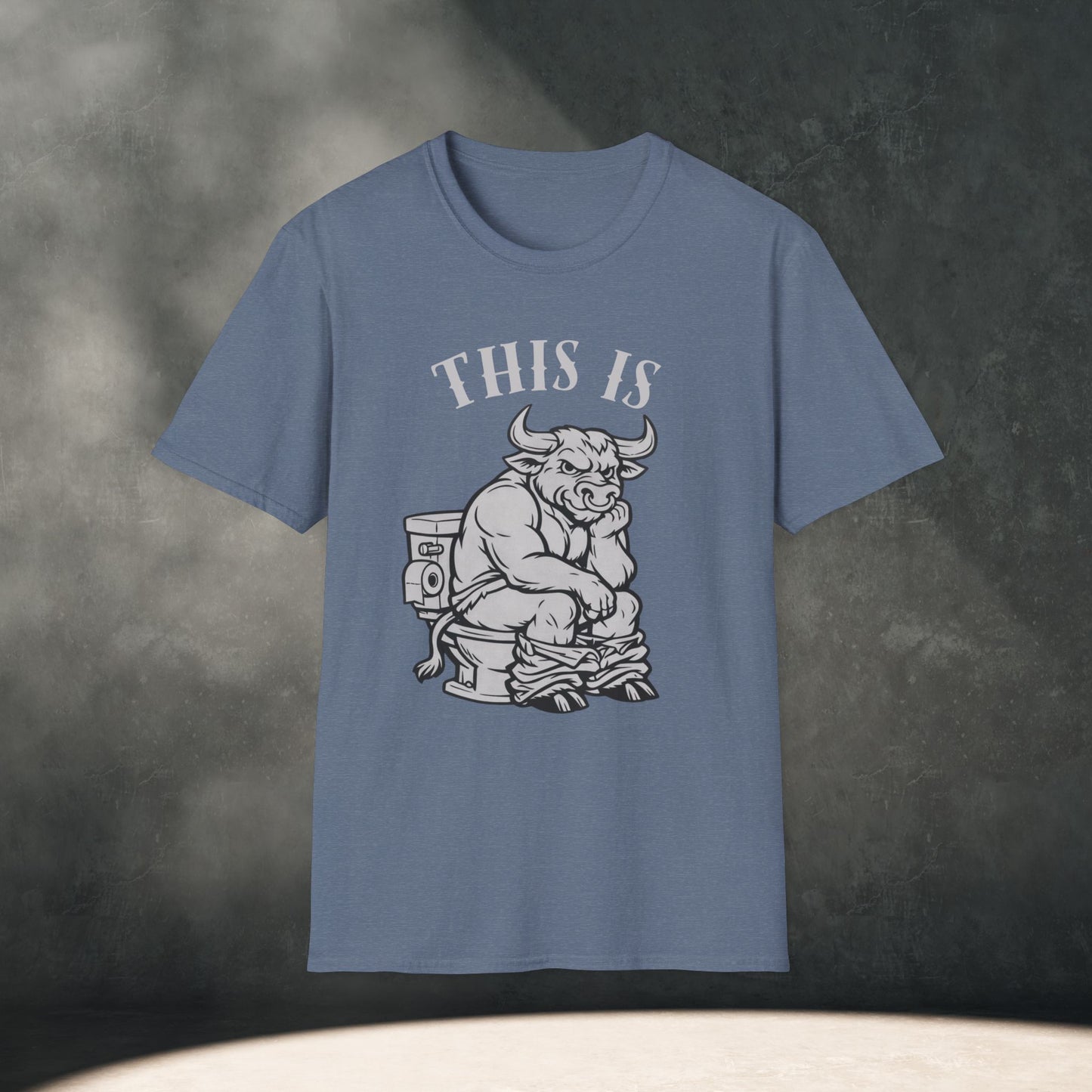 This is BS T-Shirt
