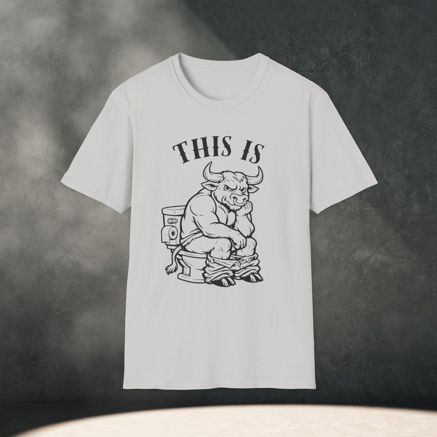 This is BS T-Shirt