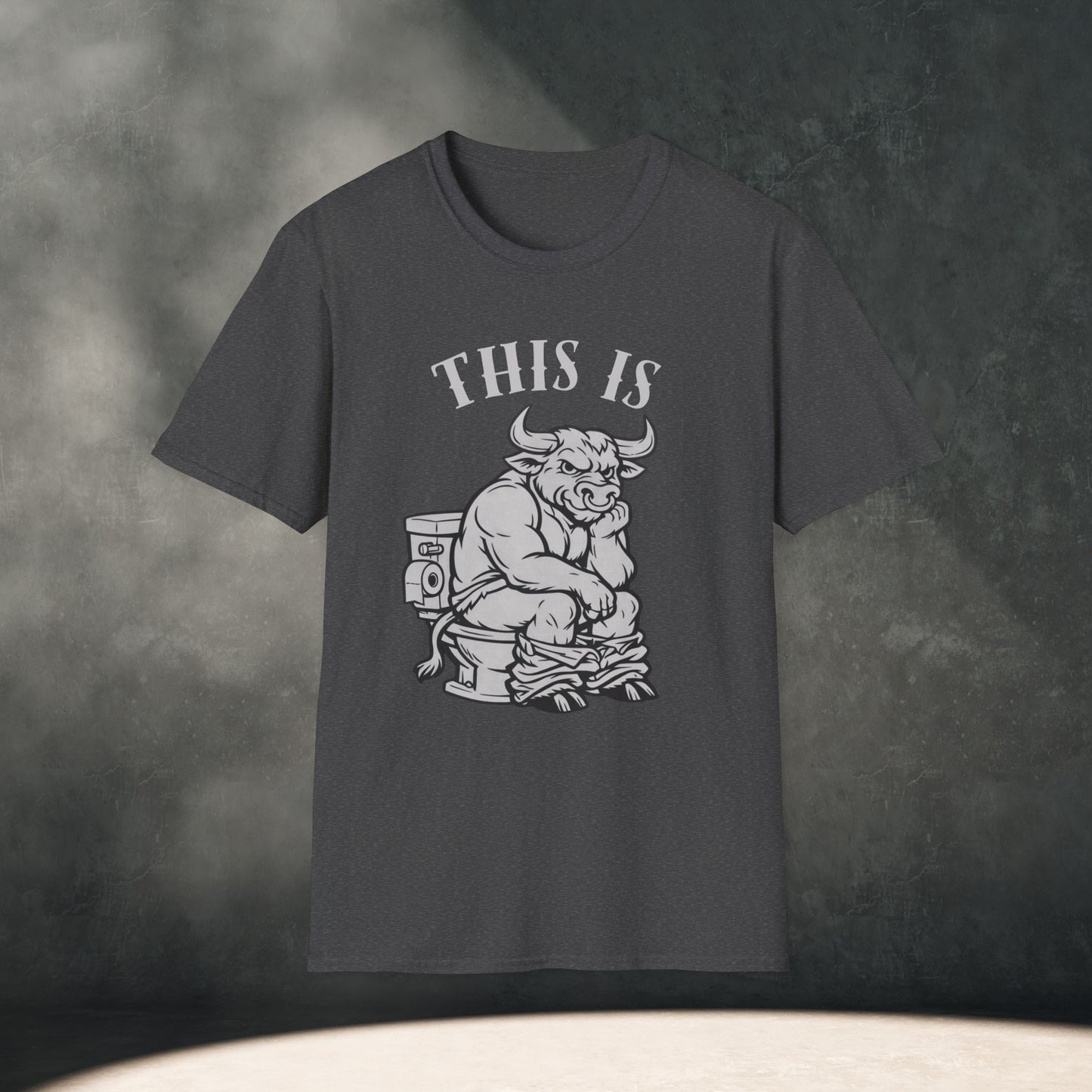 This is BS T-Shirt