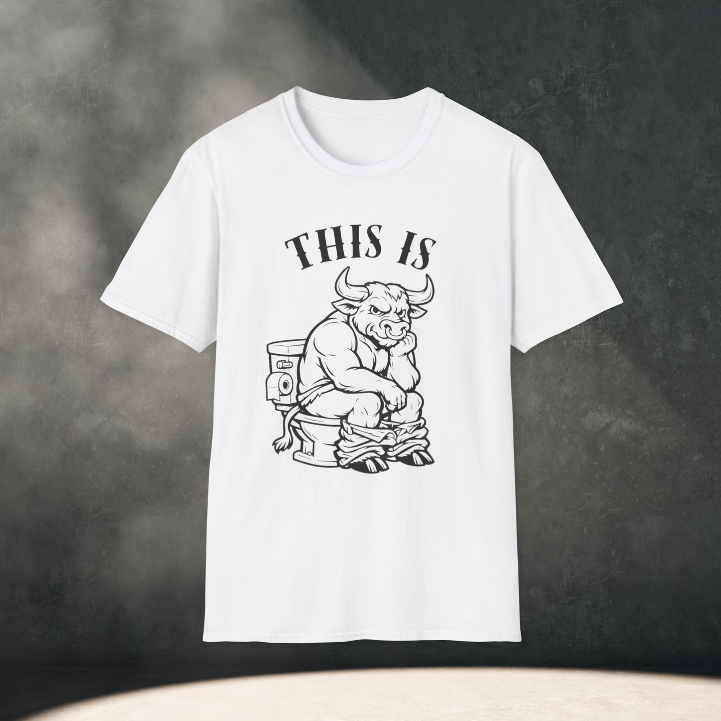 This is BS T-Shirt