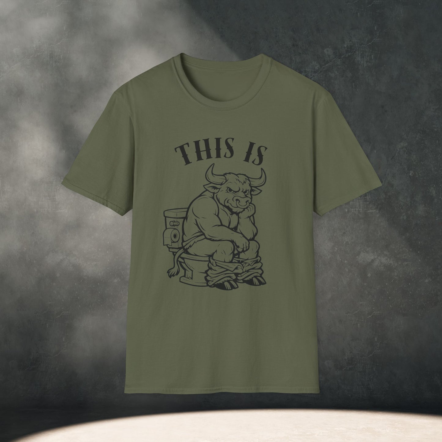 This is BS T-Shirt